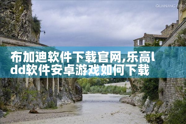 布加迪软件下载官网