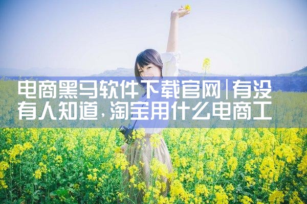 电商黑马软件下载官网
