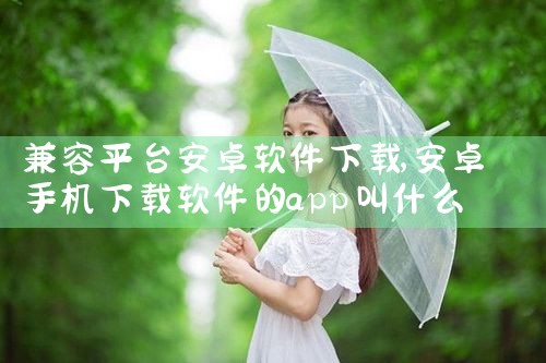 兼容平台安卓软件下载