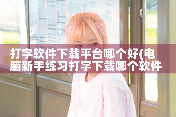 打字软件下载平台哪个好