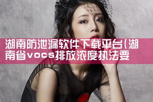 湖南防泄漏软件下载平台