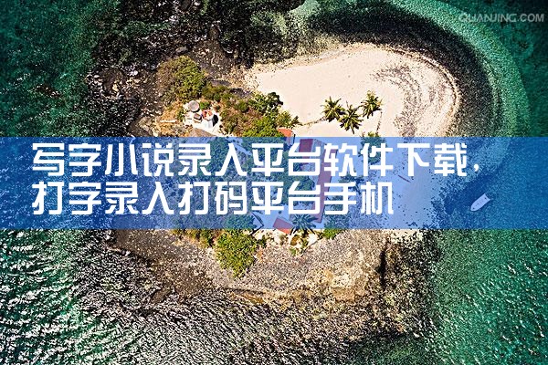 写字小说录入平台软件下载