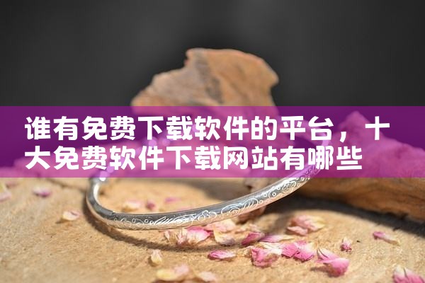 谁有免费下载软件的平台