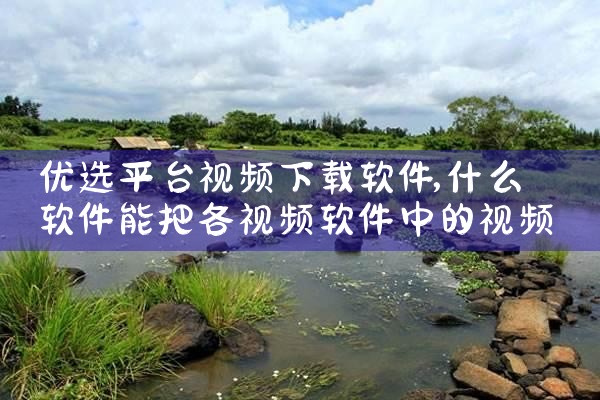 优选平台视频下载软件