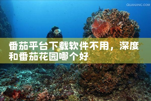 番茄平台下载软件不用
